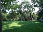 DSC08188.JPG
